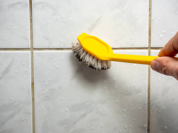 Best Toxic Mold Removal  in Joppatowne, MD
