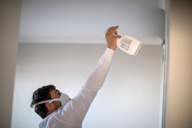 Best Home Mold Removal  in Joppatowne, MD